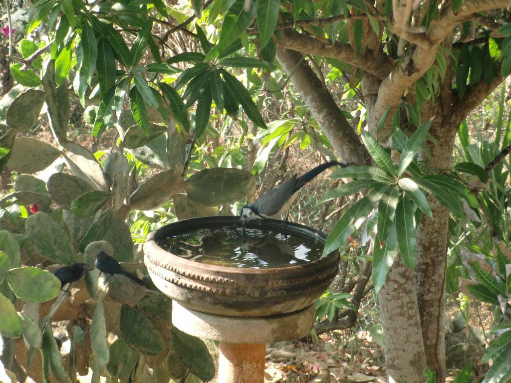 Villa Escondida Zipolite Zewnętrze zdjęcie